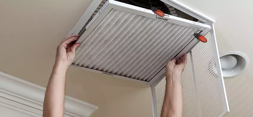 Preventive Cockroach-Proofing for Ducts in Cranston