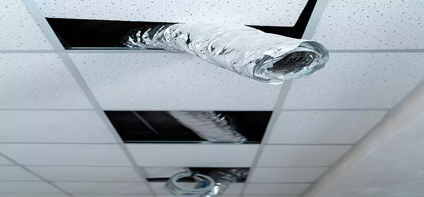 Our Air Duct Pet Hair Removal Services in Cranston, RI