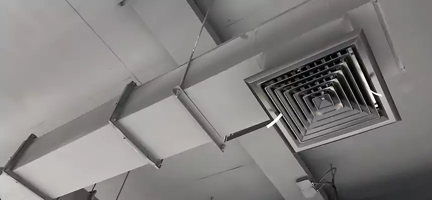 Our Rodent Droppings In Vents Services in Cranston, RI